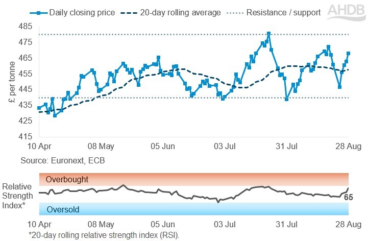 Line chart showing Paris rapeseed futures prices for Nov-26 in £ per tonne over the past six months.